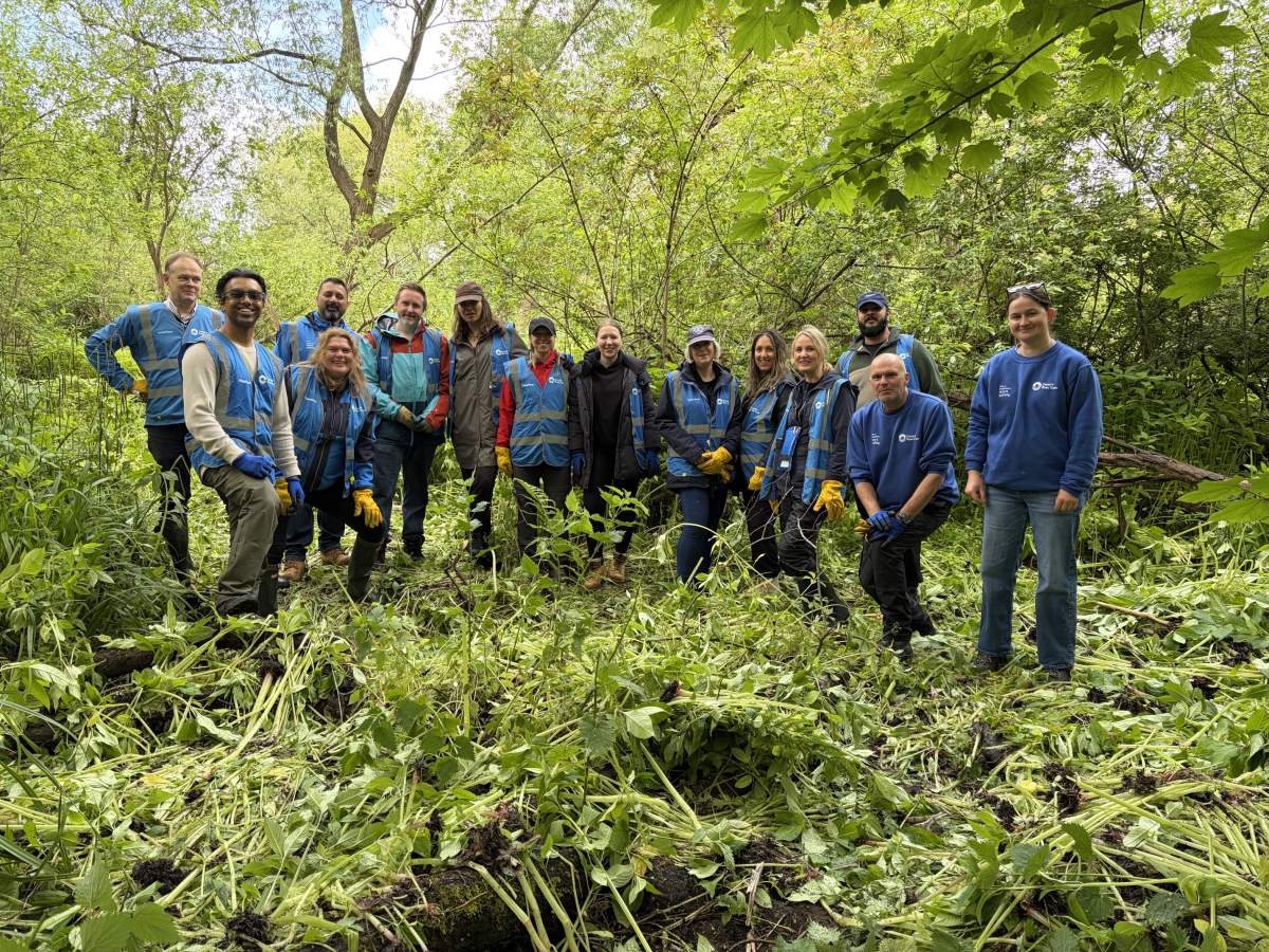 <p>Outdoor volunteering with the Canal & River Trust, our local nature partner.</p>