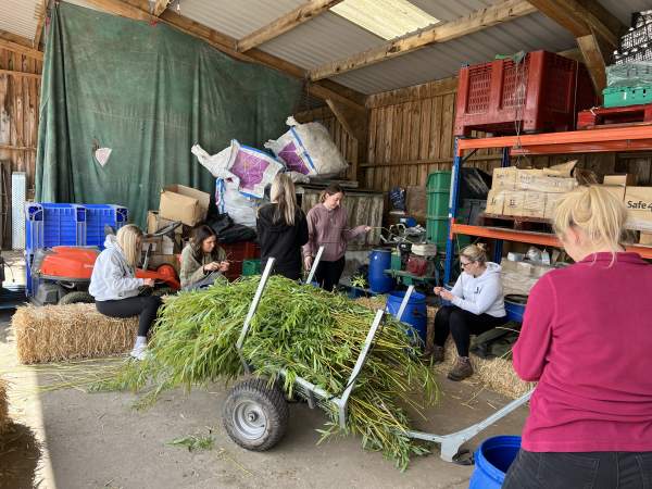 <p><strong>A day at the Zoo</strong><br>Our colleagues get stuck in helping out at Chester Zoo!</p>