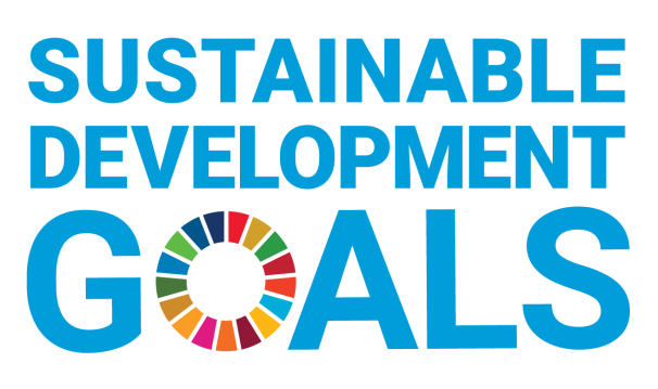 Sustainable Development Goals Icon