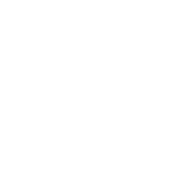 bulb icon