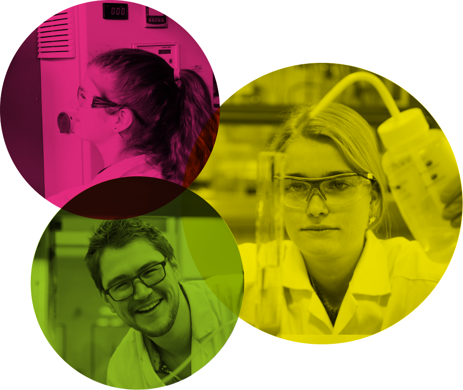 interns in work environment