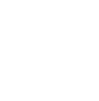 global network icon