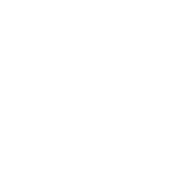 sun icon