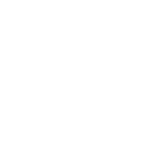 SWU icon
