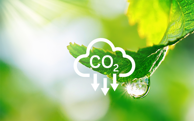 CO2 icon on leaf