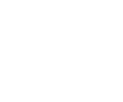 100% delivery icon